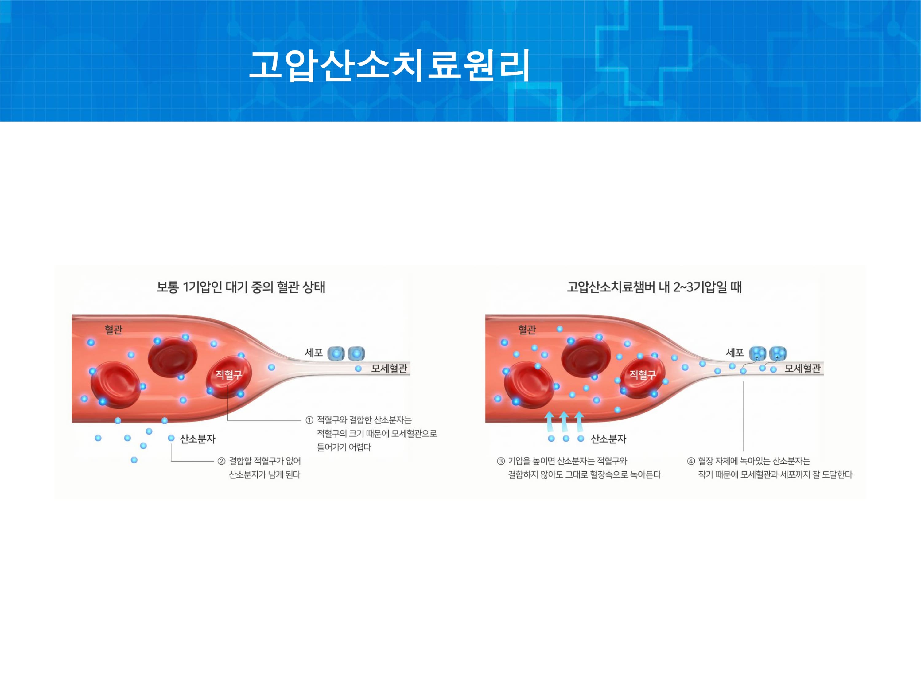 Cell Therapy 2