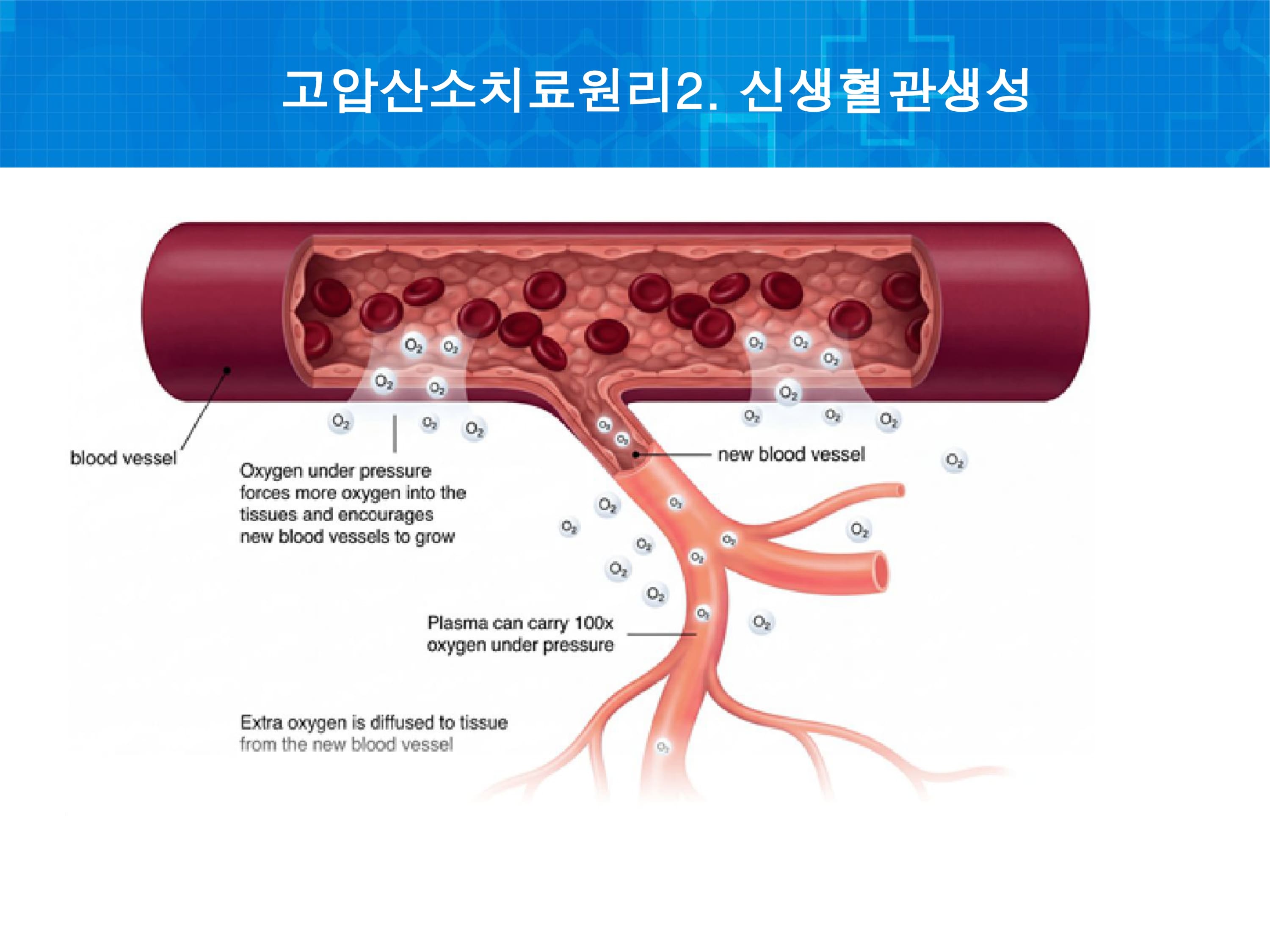 Cell Therapy 3
